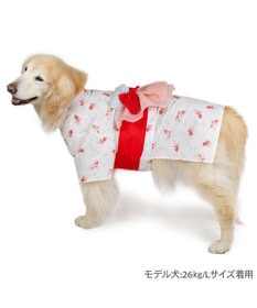 PET PARADISE ペットパラダイス 浴衣 《遊泳金魚》 中型犬 大型犬