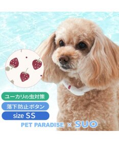 PET PARADISE ペットパラダイス 28℃クールリング  《いちご》 ＳＳ 小型犬