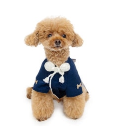 PET PARADISE ペットパラダイス お正月袴 《花菱柄》小型犬