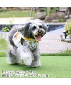 PET PARADISE ディズニー くまのプーさん クールメッシュ 襟付きタンクトップ 小型犬