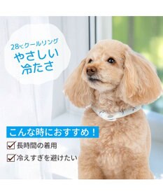 PET PARADISE ペットパラダイス ２８℃ クールリング Ｓ 《サメ柄》
