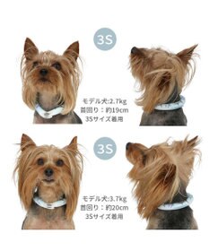 PET PARADISE ペットパラダイス ２８℃ クールリング Ｓ 《サメ柄》