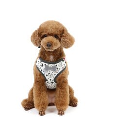 PET PARADISE ディズニー 101匹わんちゃん リュック付きハーネス Ｓ 小型犬