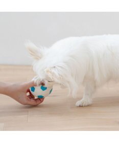 PET PARADISE ペットパラダイス サッカーボール 小