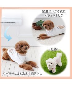 PET PARADISE ディズニー くまのプーさん サーモキープ お顔Tシャツ 小型犬