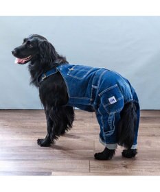PET PARADISE Lee デニム 白ステッチ オーバーオール  中型犬 大型犬