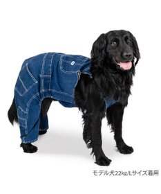 PET PARADISE Lee デニム 白ステッチ オーバーオール  中型犬 大型犬