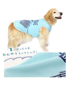 PET PARADISE Ｌｅｅポーチ ブルー Tシャツ 【中型犬】【大型犬】クールマックスエコメイド