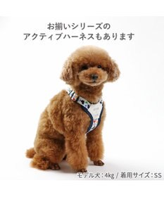 PET PARADISE リサとガスパール ショルダー リード 《三角柄》 SS~S 小型犬