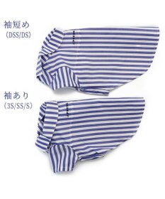 PET PARADISE 犬の服 犬 J.PRESS ストライプシャツ  【小型犬】