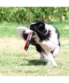 PET PARADISE 犬 おもちゃ スヌーピー フライングディスク M (直径22cm）