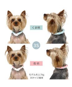PET PARADISE ペットパラダイス 28℃クールリング SUO 《いちご》 〔３Ｓ〕 小型犬