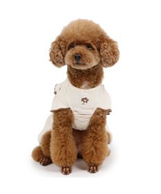PET PARADISE ペットパラダイス  プレミアムペティヒート 花刺繍ワンピース  小型犬