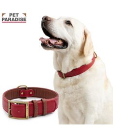 PET PARADISE ペットパラダイス ソフトレザー首輪 《ブルックレッド》 Ｌ