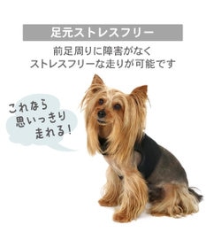 PET PARADISE Lee フード付き メッシュハーネス ＳＳ
