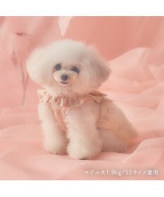 PET PARADISE cherircouture ローズチュールワンピース 《ピンク》 小型犬