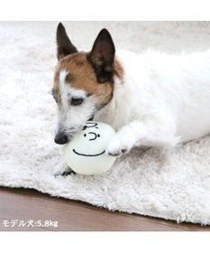 PET PARADISE スヌーピー  チャーリーブラウン デンタル フェイス トイ