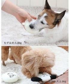 PET PARADISE スヌーピー  チャーリーブラウン デンタル フェイス トイ