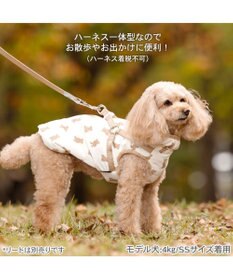PET PARADISE ペットパラダイス くまちゃん アウターハーネス 小型犬