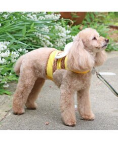 PET PARADISE ペットパラダイス  はちクールベスト 小型犬