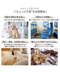 PET PARADISE リサとガスパール キルト 折り畳みキャリー 小型犬