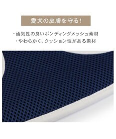PET PARADISE ペットパラダイス ライン入りリュック付き ハーネス ＳＳ 小型犬