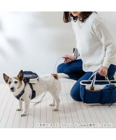 PET PARADISE ペットパラダイス ライン入りリュック付き ハーネス ＳＳ 小型犬