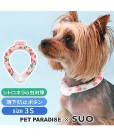 PET PARADISE ペットパラダイス 28℃クールリング SUO 《いちご》 〔３Ｓ〕 小型犬
