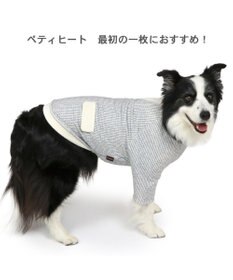 PET PARADISE ペットパラダイス ペティヒート 天竺 Tシャツ 《ニット柄》  中型犬 大型犬