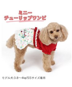 PET PARADISE 犬の服 犬 ディズニー ミニーマウス ワンピース 【小型犬】 チューリップ