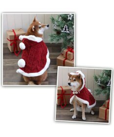 PET PARADISE ペットパラダイス サンタさん くま ポンチョ 中型犬 大型犬