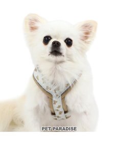 PET PARADISE ペットパラダイス くまちゃん アクティブハーネス 小型犬 SS