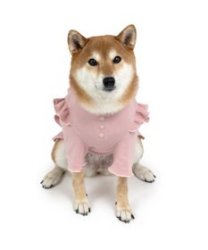 PET PARADISE ペットパラダイス  プレミアムペティヒー ト 花フリルTシャツ  中型犬