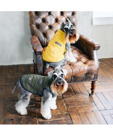 PET PARADISE J.PRESS ダイヤＳＴ 綿入ベスト 《イエロー》 小型犬