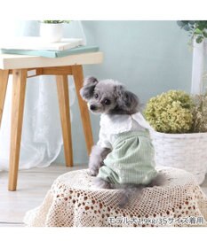 PET PARADISE ペットパラダイス ナチュラル パンツつなぎ 《小花 》 小型犬