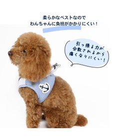 PET PARADISE 犬 ハーネス メッシュ ベスト ハーネス 【Ｓ】 小花柄／マリン
