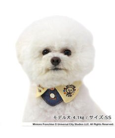 PET PARADISE ミニオン ティム 首輪 【ＳＳ】 襟付き 小型犬