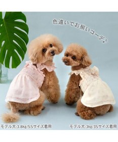 PET PARADISE ペットパラダイス エコメッシュ ワンピース《小花柄 イエロー》 小型犬