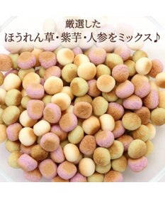 PET PARADISE 野菜ミックス ボーロ 160g  大袋