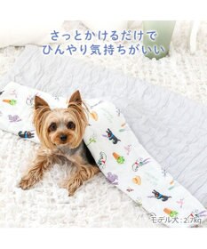 PET PARADISE リサとガスパール もちっと クール ブランケット