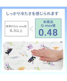 PET PARADISE リサとガスパール もちっと クール ブランケット