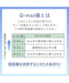 PET PARADISE リサとガスパール もちっと クール ブランケット