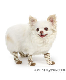 PET PARADISE ペットパラダイス makokoro スリット 靴下 《ボーダー》 ３Ｓ 小型犬