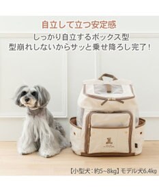 PET PARADISE ペットパラダイス くまちゃん帆布 ハグ＆リュック Ｌ 小型犬