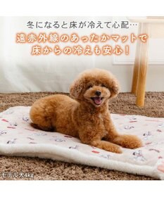 PET PARADISE ディズニー １０１匹わんちゃん 遠赤外線 ボアマット