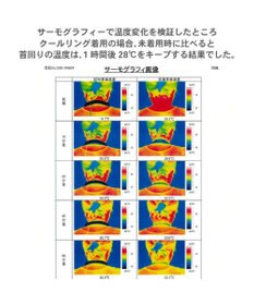 PET PARADISE ペットパラダイス 28℃ クールリング 【ＳＳ】 《 水色 / ベージュ》