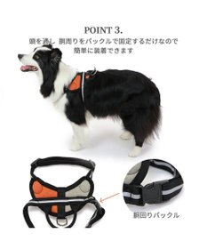 PET PARADISE ヘッドインハーネス 【Ｌ】 オレンジ / ブルー  【大型犬】