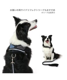 PET PARADISE ヘッドインハーネス 【Ｌ】 オレンジ / ブルー  【大型犬】