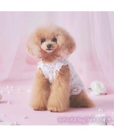 PET PARADISE cherircouture 総レース キャミソール 小型犬