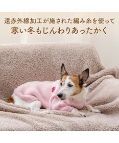 PET PARADISE ペットパラダイス ぬくふわニット 《苺》 小型犬